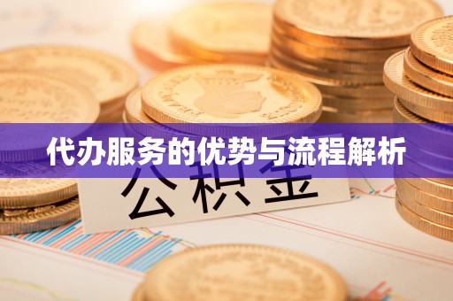 乐都代办服务的优势与流程解析