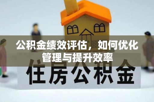乐都公积金绩效评估，如何优化管理与提升效率