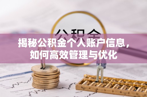 乐都揭秘公积金个人账户信息，如何高效管理与优化