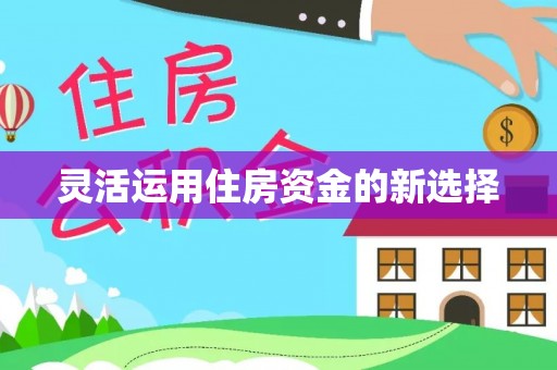 乐都灵活运用住房资金的新选择