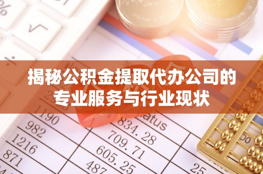乐都揭秘公积金提取代办公司的专业服务与行业现状