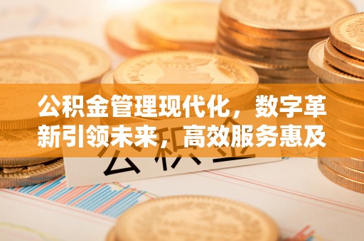 乐都公积金管理现代化，数字革新引领未来，高效服务惠及民生