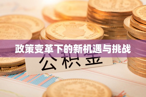 乐都政策变革下的新机遇与挑战