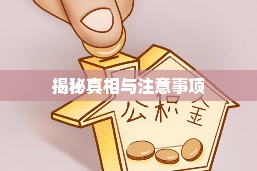 乐都揭秘真相与注意事项