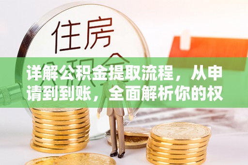乐都详解公积金提取流程，从申请到到账，全面解析你的权益与操作步骤