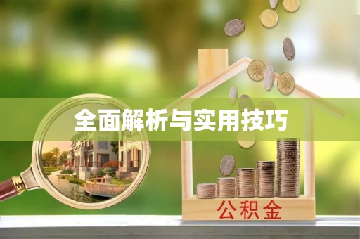 乐都全面解析与实用技巧