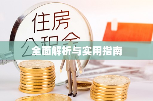 乐都全面解析与实用指南