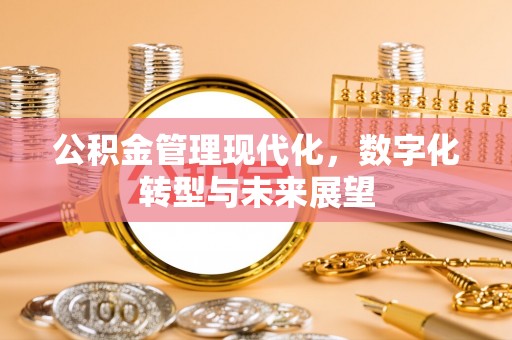 乐都公积金管理现代化，数字化转型与未来展望