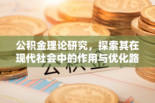 乐都公积金理论研究，探索其在现代社会中的作用与优化路径