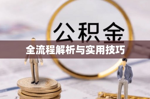 乐都全流程解析与实用技巧