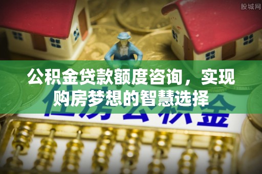乐都公积金贷款额度咨询，实现购房梦想的智慧选择
