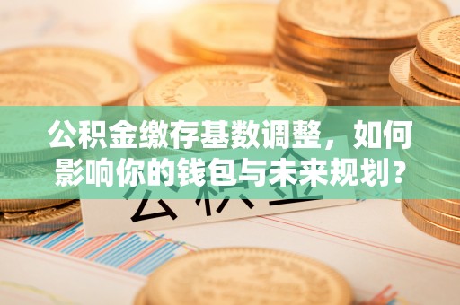 乐都公积金缴存基数调整，如何影响你的钱包与未来规划？