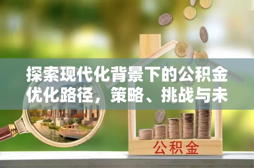 乐都探索现代化背景下的公积金优化路径，策略、挑战与未来展望