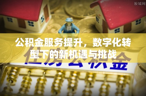乐都公积金服务提升，数字化转型下的新机遇与挑战