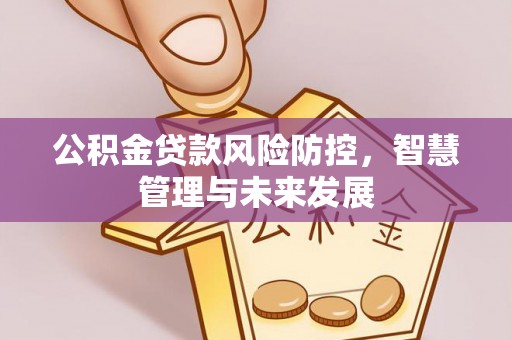 乐都公积金贷款风险防控，智慧管理与未来发展