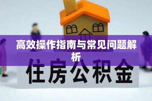 乐都高效操作指南与常见问题解析