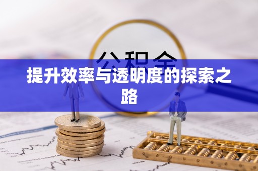 乐都提升效率与透明度的探索之路