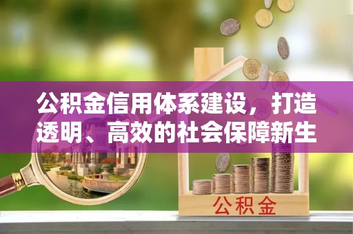 乐都公积金信用体系建设，打造透明、高效的社会保障新生态