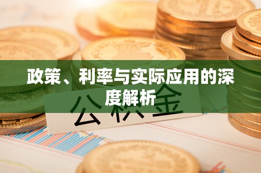 乐都政策、利率与实际应用的深度解析