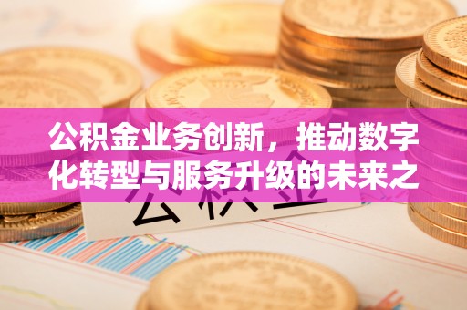 乐都公积金业务创新，推动数字化转型与服务升级的未来之路