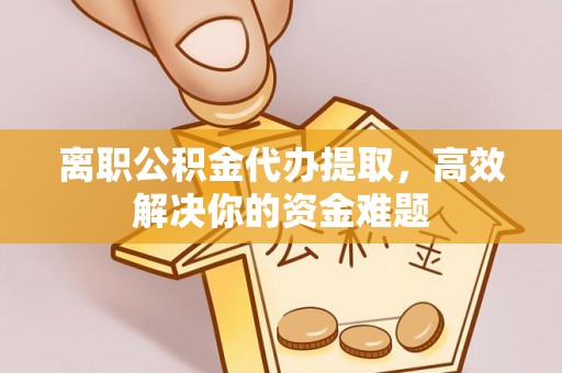 乐都离职公积金代办提取，高效解决你的资金难题