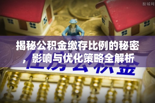 乐都揭秘公积金缴存比例的秘密，影响与优化策略全解析