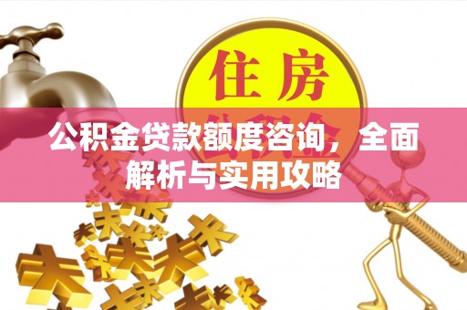 乐都公积金贷款额度咨询，全面解析与实用攻略