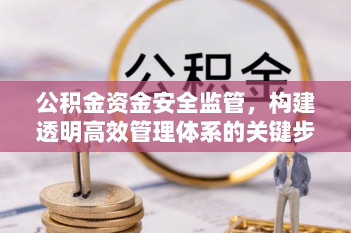 乐都公积金资金安全监管，构建透明高效管理体系的关键步骤
