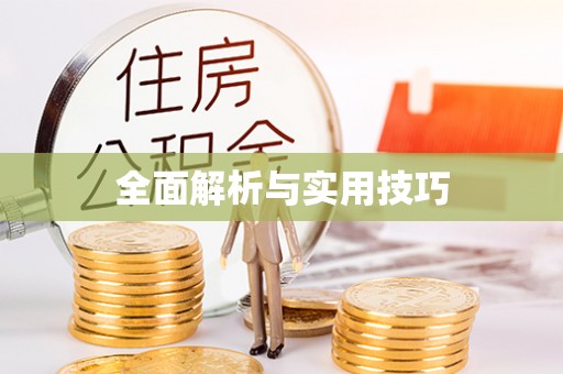 乐都全面解析与实用技巧