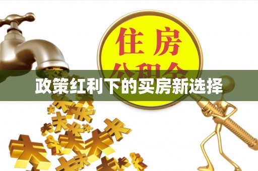 乐都政策红利下的买房新选择