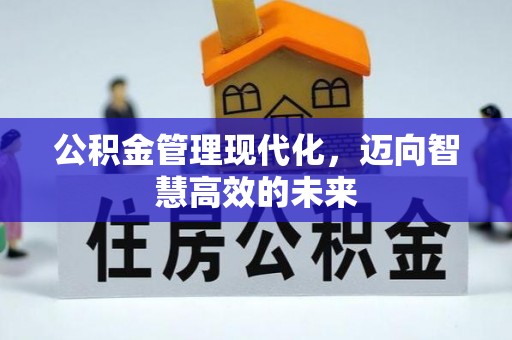 乐都公积金管理现代化，迈向智慧高效的未来