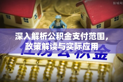 乐都深入解析公积金支付范围，政策解读与实际应用