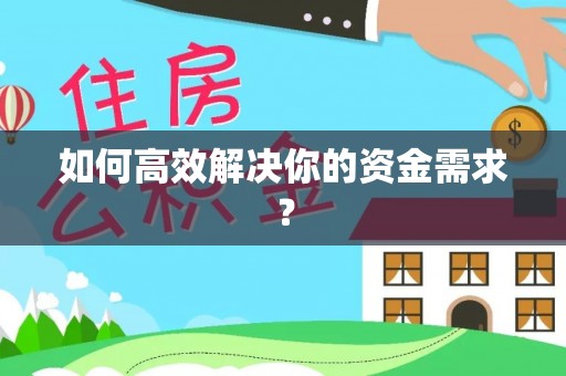 乐都如何高效解决你的资金需求？