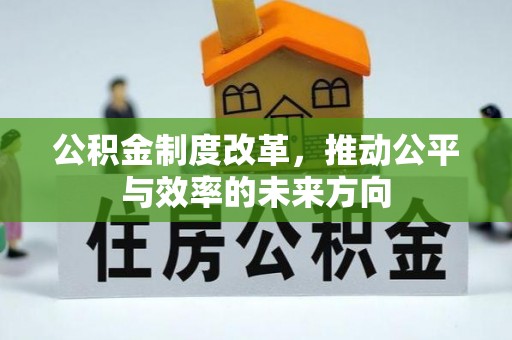 乐都公积金制度改革，推动公平与效率的未来方向