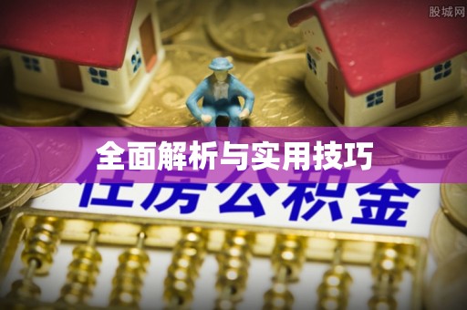 乐都全面解析与实用技巧