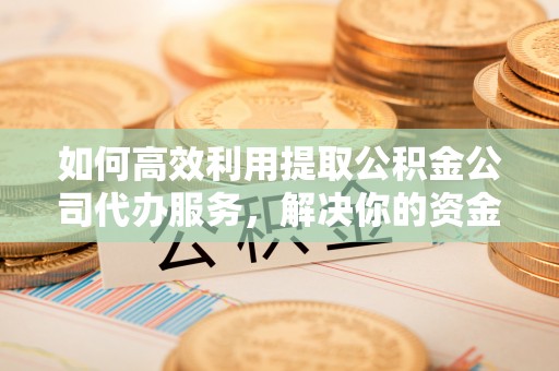 乐都如何高效利用提取公积金公司代办服务，解决你的资金难题
