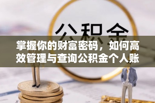 乐都掌握你的财富密码，如何高效管理与查询公积金个人账户信息