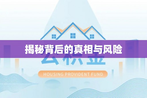乐都揭秘背后的真相与风险