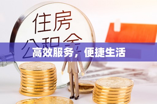 乐都高效服务，便捷生活