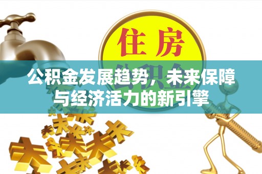 乐都公积金发展趋势，未来保障与经济活力的新引擎