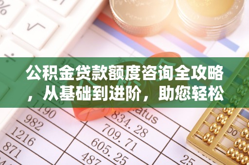 乐都公积金贷款额度咨询全攻略，从基础到进阶，助您轻松掌握关键要点