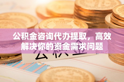 乐都公积金咨询代办提取，高效解决你的资金需求问题