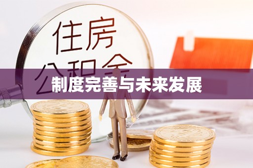 乐都制度完善与未来发展