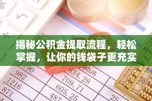 乐都揭秘公积金提取流程，轻松掌握，让你的钱袋子更充实