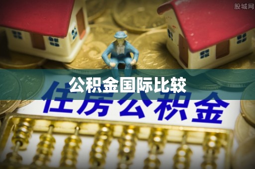 乐都公积金国际比较