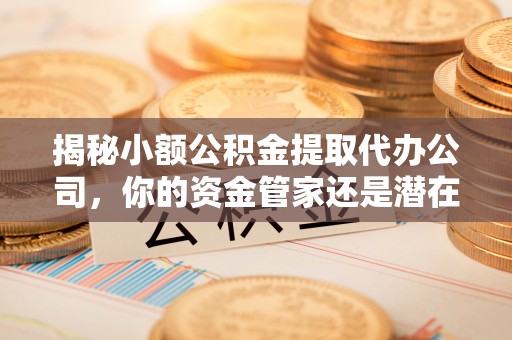 乐都揭秘小额公积金提取代办公司，你的资金管家还是潜在风险？