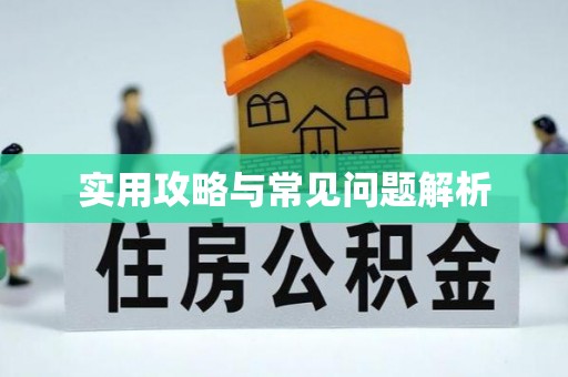 乐都实用攻略与常见问题解析