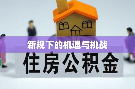 乐都新规下的机遇与挑战