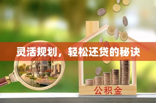 乐都灵活规划，轻松还贷的秘诀