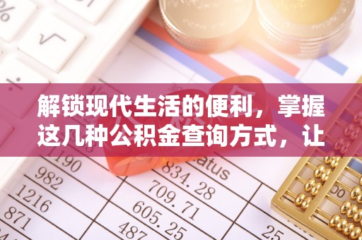 乐都解锁现代生活的便利，掌握这几种公积金查询方式，让理财更轻松